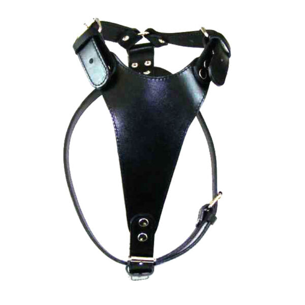 Grudnjak od kože – više širina (20, 25 i 30mm) - Džambo