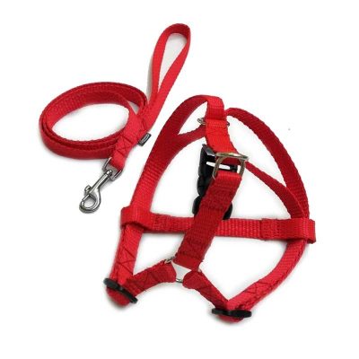 Komplet gurtna Klasik (povodac i grudnjak) raznih dimenzija i boja - Džambo