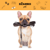 Povoci i amovi za pse