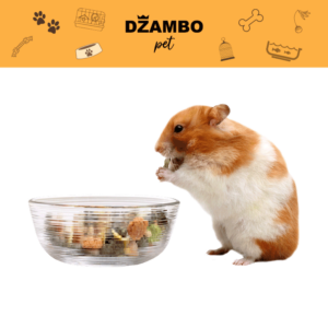 Hrana i poslastice za male životinje