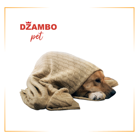Ćebad za pse