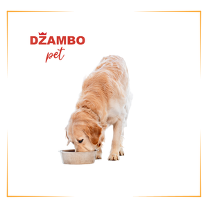 Hrana za odrasle pse