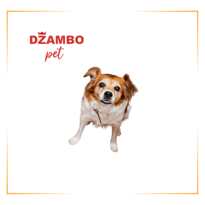 Hrana za pse sa osetljivim stomakom