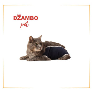 Hrana za sterilisane mačke