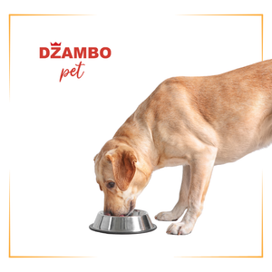 Hrana za velike rase