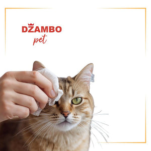 Nega očiju za mačke