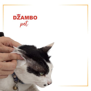 Nega ušiju za mačke