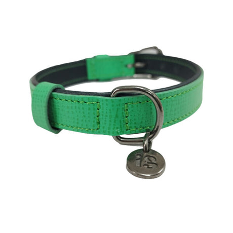 Disentra kožna ogrlica za pse – više boja - Džambo