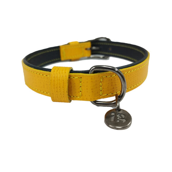 Disentra kožna ogrlica za pse – više boja - Džambo
