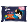 Felix Le Ghiottonerie Junior multipack za mačiće – govedina i piletina u želeu (4×85g) - FELIX