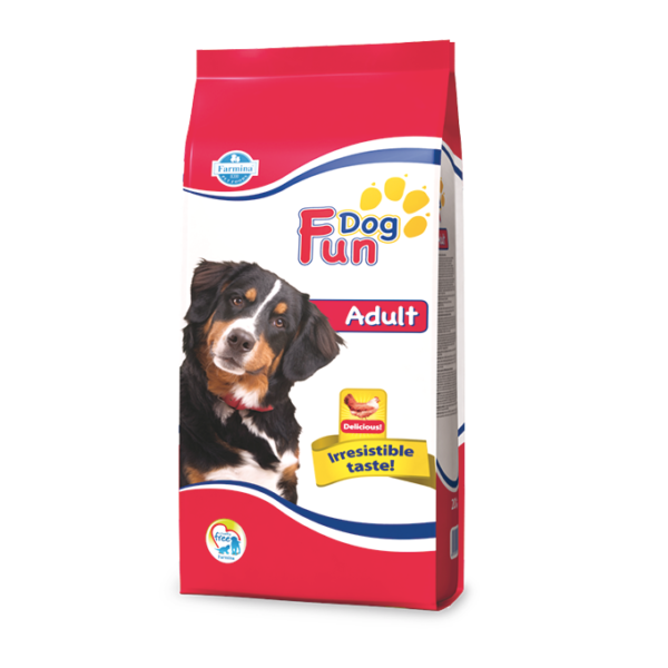 Fun Dog Adult piletina – 10kg