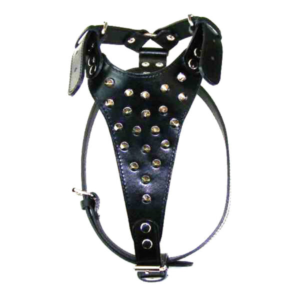 Grudnjak U+30 od prave kože sa dekorativnim bodljama – 30mm - Džambo