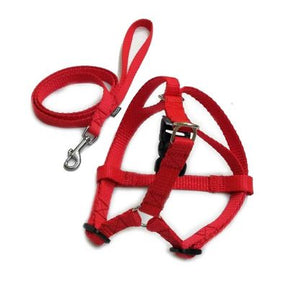 Komplet gurtna Klasik (povodac i grudnjak) raznih dimenzija i boja - Džambo