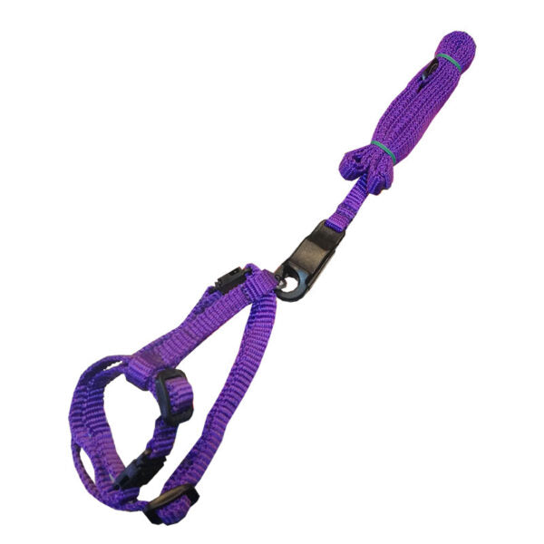 Komplet za zeca – povodac i am od najlona 10mm - Džambo