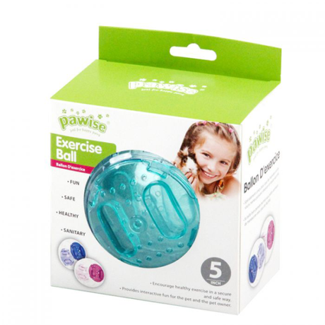 Pawise exercise ball 5 inch – lopta za vežbanje glodara - Džambo