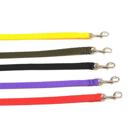 Povodac od gurtne za pse – čvrsti najlonski remen - Džambo
