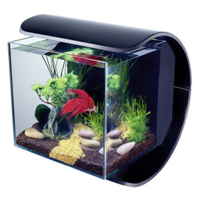 Tetra akvarijum Silhouette LED 12 L – kompletni akvarijum sa LED osvetljenjem - Džambo