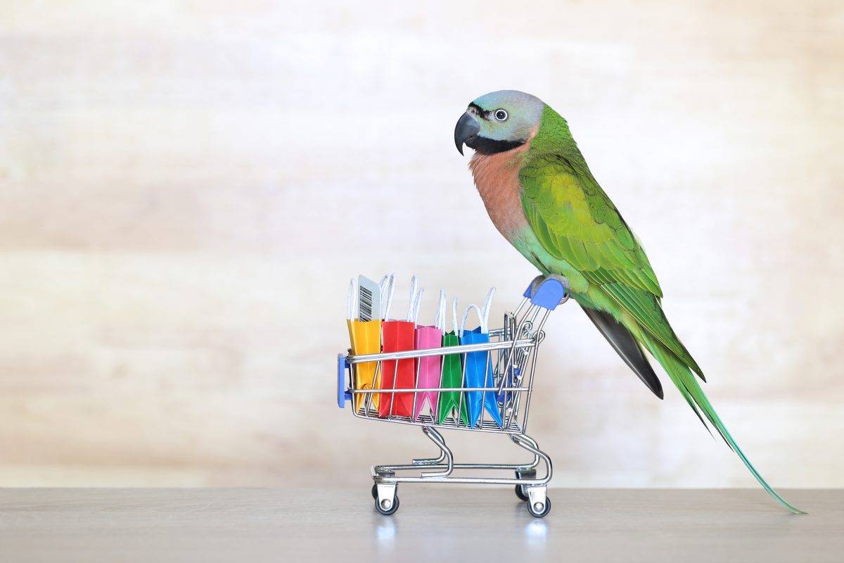 Džambo Pet – online shop za kućne ljubimce