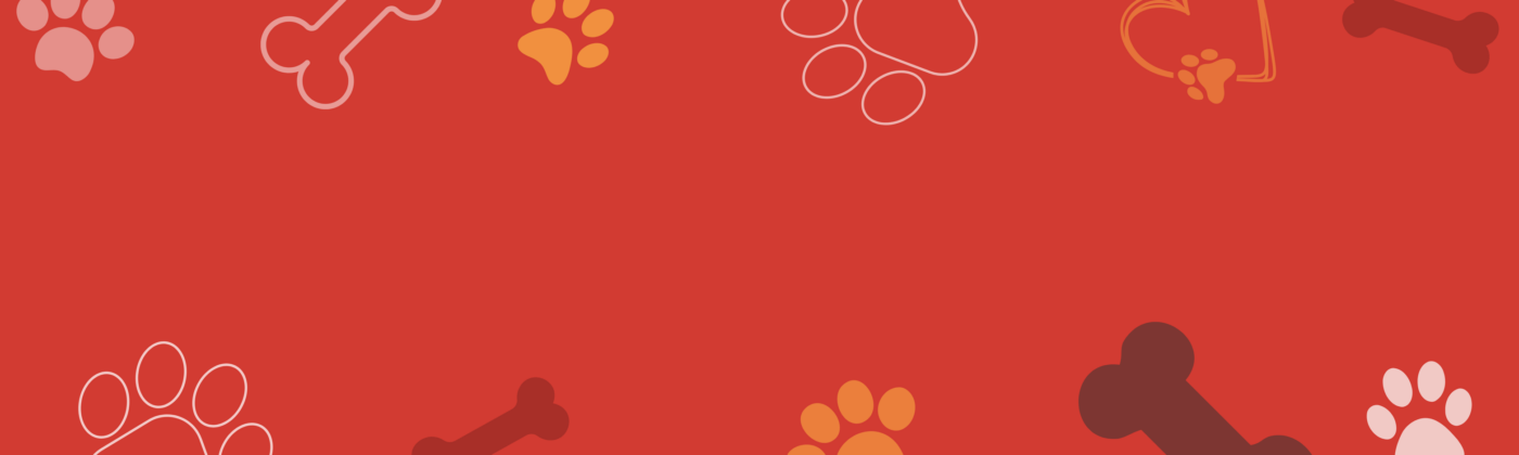 Džambo Pet – online shop za kućne ljubimce