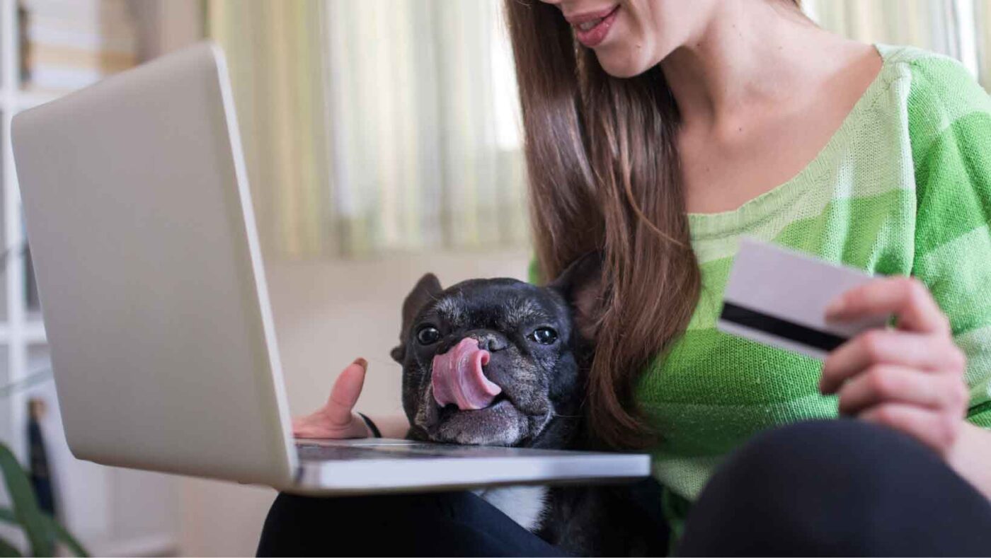 Džambo Pet – online shop za kućne ljubimce