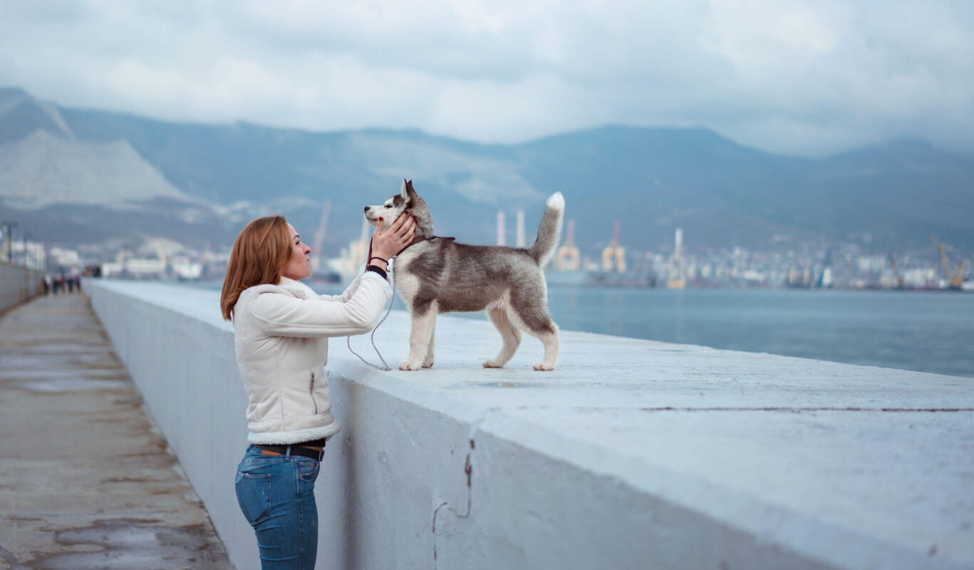 Džambo Pet – online shop za kućne ljubimce