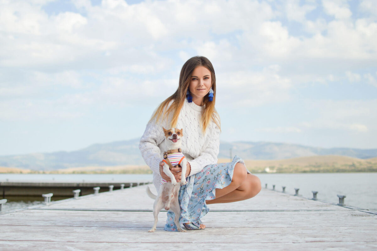 Džambo Pet – online shop za kućne ljubimce