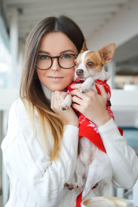 Džambo Pet – online shop za kućne ljubimce