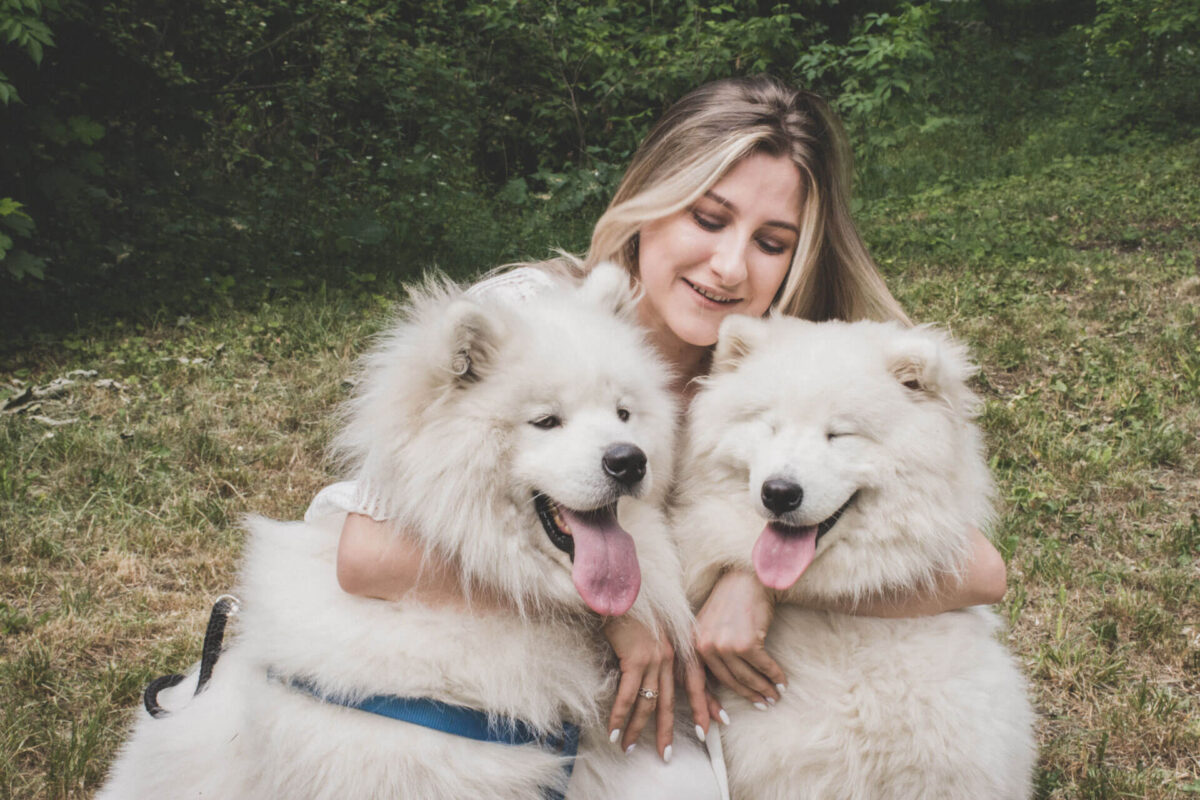 Džambo Pet – online shop za kućne ljubimce