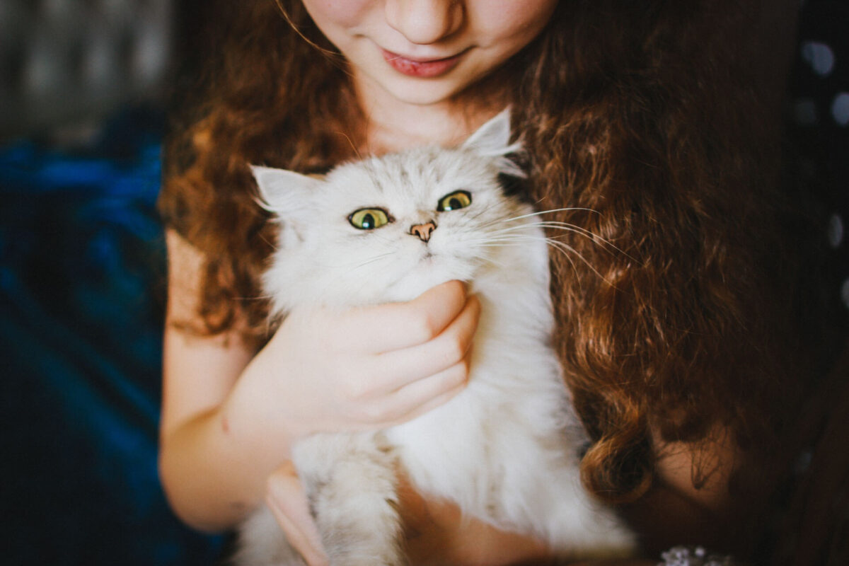 Džambo Pet – online shop za kućne ljubimce