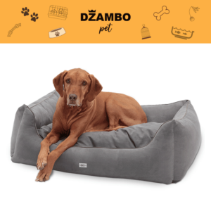 Džambo Pet