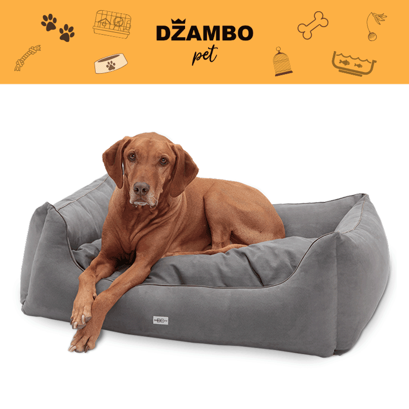 Džambo Pet
