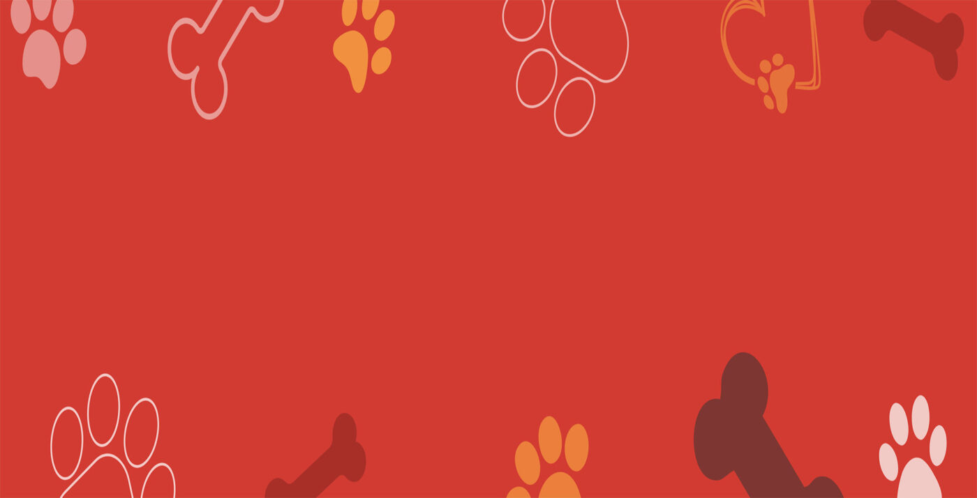 Džambo Pet – online shop za kućne ljubimce