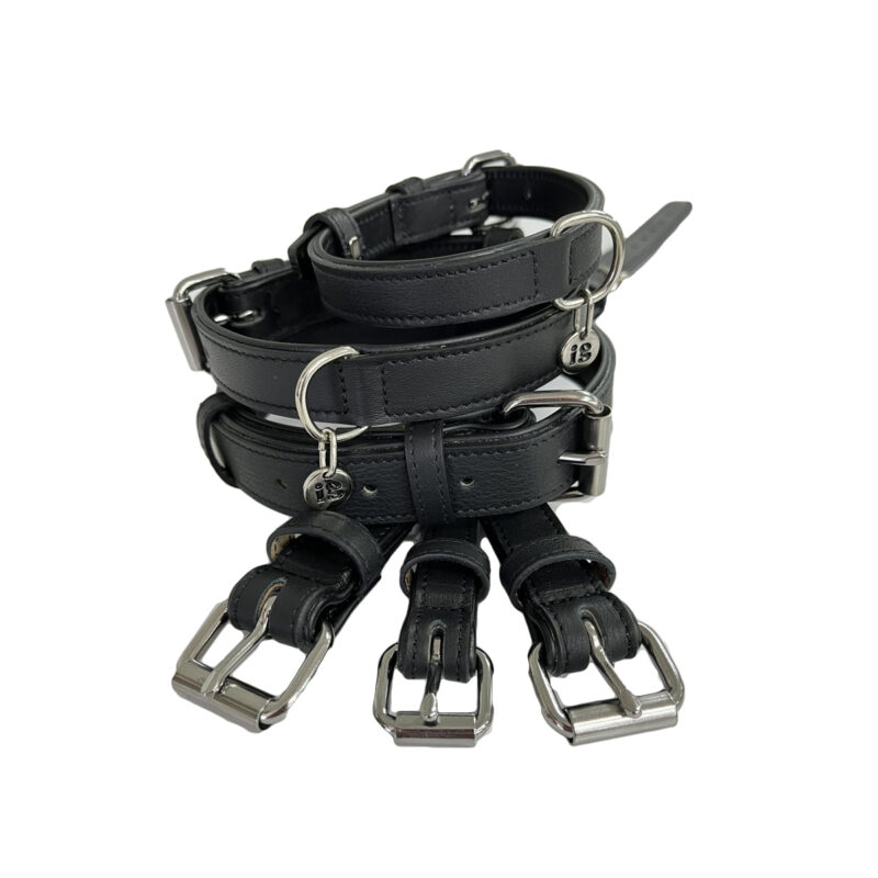 Džambo Pet – online shop za kućne ljubimce