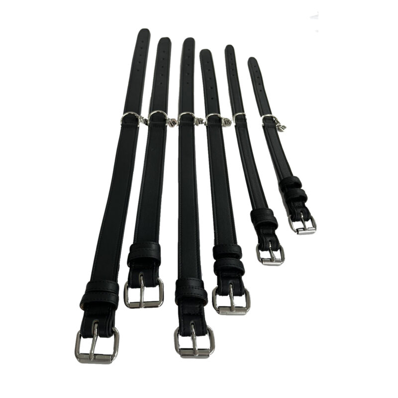 Džambo Pet – online shop za kućne ljubimce