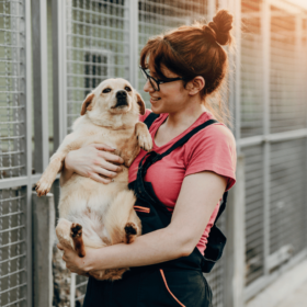 Žena drži psa u rukama