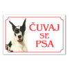 Čuvaj se psa