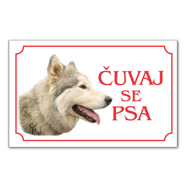 Čuvaj se psa haski