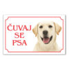 Labrador čuvaj se psa