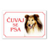 Čuvaj se psa Lesi