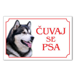 Čuvaj se psa Malamut