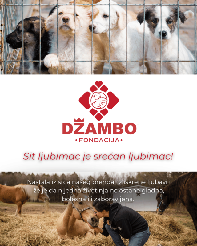 Džambo Pet – online shop za kućne ljubimce