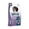 Happy dog mini senior