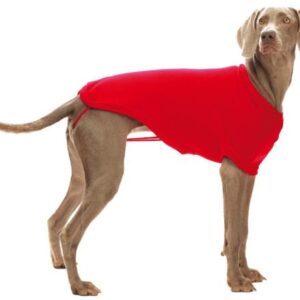 Odelce Seville – elegantno i toplo odelce za pse