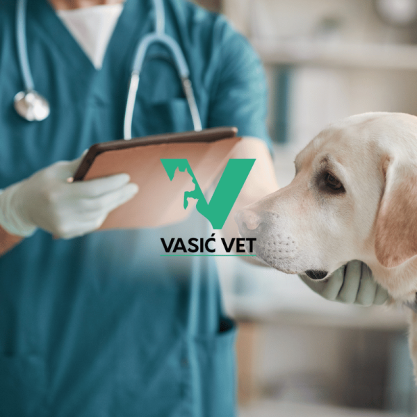 Vasić Vet