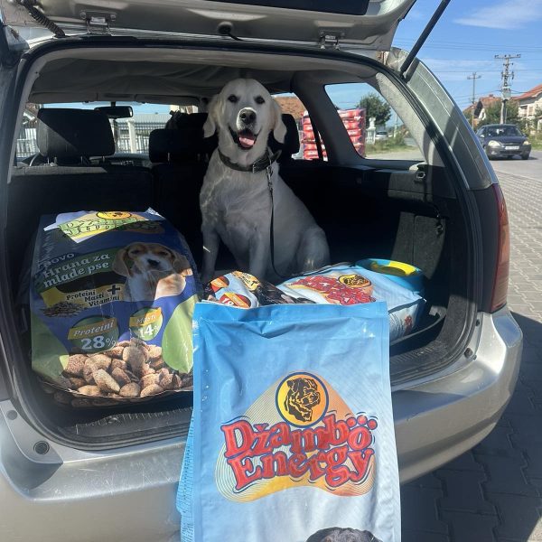 Pas u kolima sa Džambo energy hranom